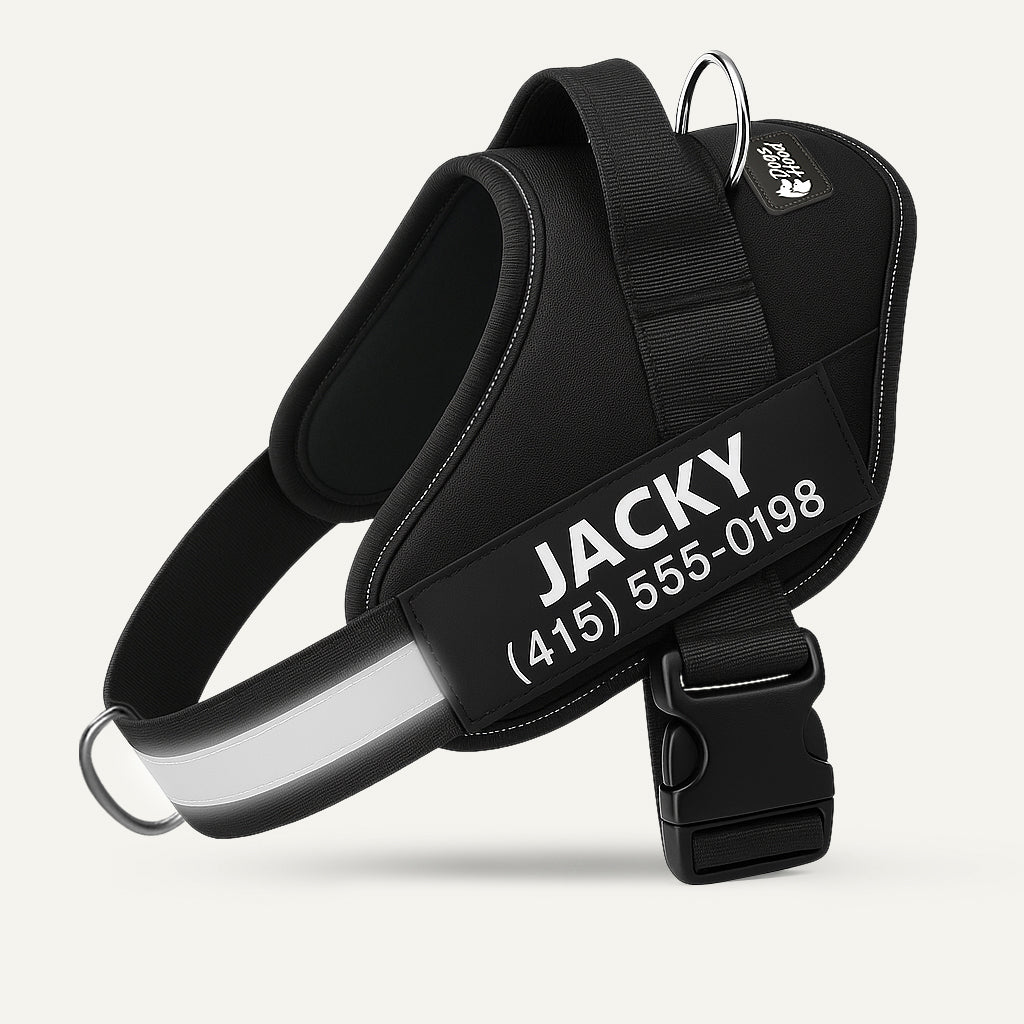 Black personalized dog harness