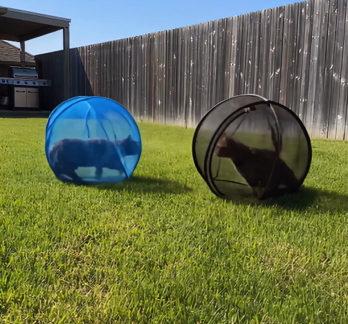 Outdoor mesh pet playpen product view 8