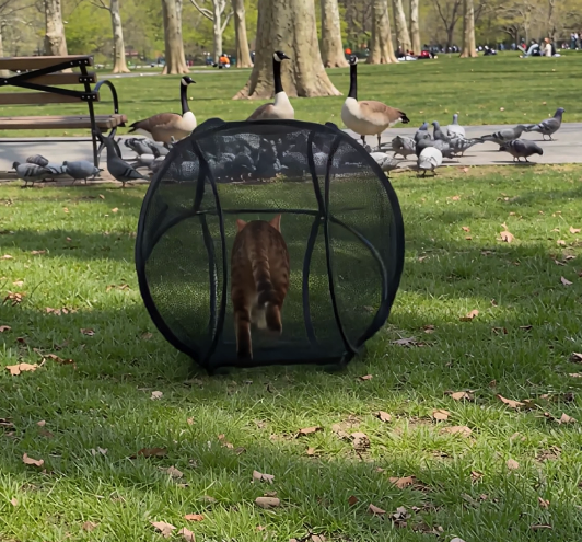 Outdoor mesh pet playpen product view 9